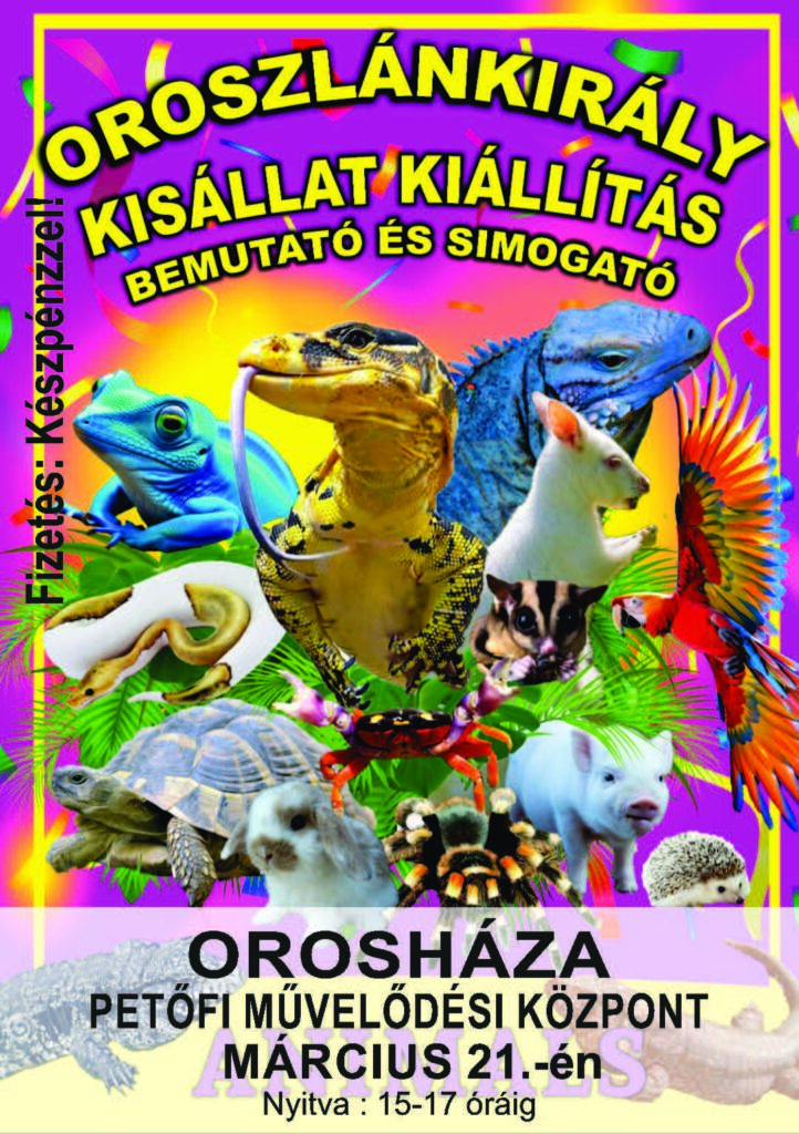 Oroszlánkirály kisállat kiállítás @ Petőfi Művelődési Központ 