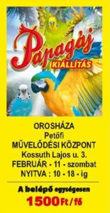 Papagáj kiállítás Orosházán @ Petőfi Művelődési Központ